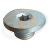 Фото Пробка сливная масляного поддона М14*1,5 (TORX T40; с резиновым кольцом) Lex WW0892 Lex