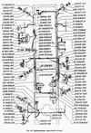 Фото Регулятор давления тормозов (с приводом) Газ 330783535009 Газ