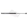 Фото BSG 30-980-004_амортизатор задней двери!\ Ford Focus 04> Bsg BSG30980004 Bsg