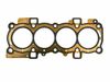 Фото прокладка головки блока цилиндров Ford ZETEK S 1,6 08-> 115сил Mv-Parts MVGASF02 Mv-Parts