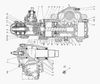 Фото Манжета наружная вала сошки ГУР БРТ Камаз 43103401030 Камаз