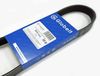 Фото 6PK1510_GLOBELT_Ремень приводной поликлиновой EPDM Globelt 6PK1510 Globelt