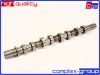 Фото Вал распределительный впускной K4M 8200100527 CGA 1CMS9931RA CGA