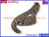 Фото Цепь привода ГРМ 243212B620 243212B600 CGA 2CHA0011RA CGA