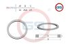 Фото Резиновое кольцо квадратного сечения 2.5*22*26.8 GS SR07016 GS