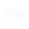 Фото Ручка двери наружная левая RENAULT Sandero NSP NSP07806074969R NSP