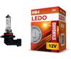 Фото Лампа HB4 LEDO Standard 12V 55W                    Ledo 9006LSC1 Ledo