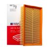 Фото Фильтр воздушный CHERY Amulet A15 2003-2010 Double Force DFA1217 Double Force