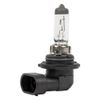 Фото Лампа 12V HB4 55W P22D 1 шт. картон Ganz GIP06023 Ganz