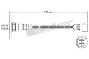 Датчик 25024153 Walker