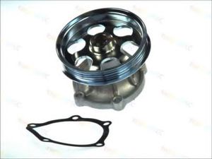 Водяной насос D12071TT Thermotec