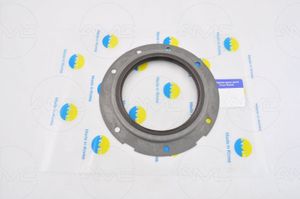 GASKET-RR OIL SEAL amdsg155 AMD