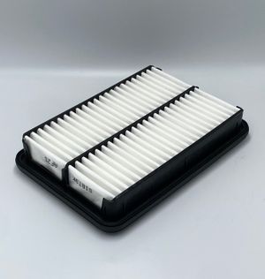 Фильтр ТЭК AF25 Sibtek