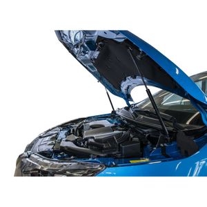 Амортизаторы капота RIVAL (2 шт.) Nissan Qashqai (2014-2019 2019-) AST41061 Rival