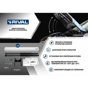 Амортизаторы капота RIVAL (2 шт.) Nissan Qashqai (2014-2019 2019-) AST41061 Rival