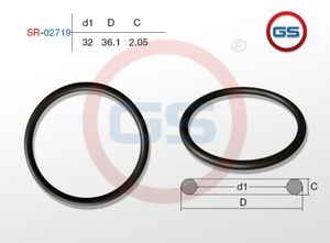 Резиновое кольцо 32 2.05 sr02719 GS