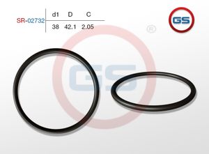 Резиновое кольцо 38 2.05 sr02732 GS