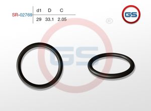 Резиновое кольцо 29 2.05 sr02769 GS