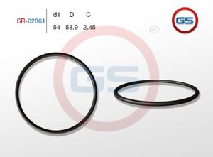 Резиновое кольцо 54 2.45 SR02861 GS
