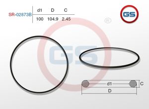Резиновое кольцо 100 2.45 sr02873b GS