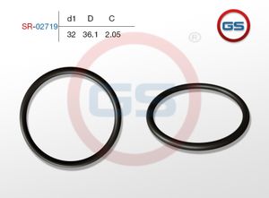 Резиновое кольцо 32 2.05 sr02719 GS