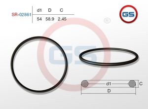 Резиновое кольцо 54 2.45 SR02861 GS