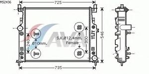 Радиатор, охлаждение двигателя MS2436 Ava