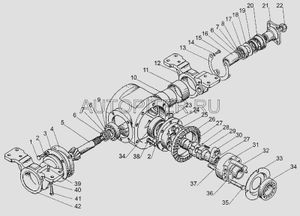 Шестерня (продавать только с 320-2402060-01) (z=24, z=8) 320240201701 МТЗ
