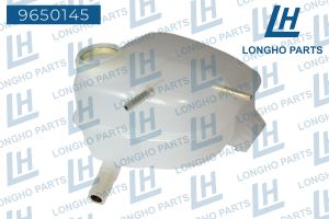 Деталь 9650145 Longho