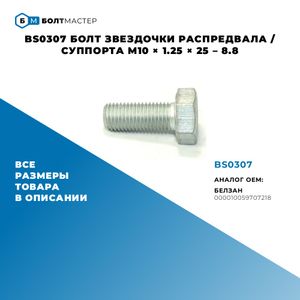 Болт прямой M10 x 25 x 1,25 – 8.8 bs0307 БолтМастер