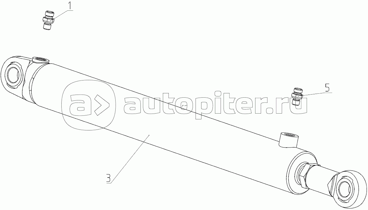 Гидроцилиндр (101.09.89.050), Иллюстрация действительна для техники, произведенной с 20081201