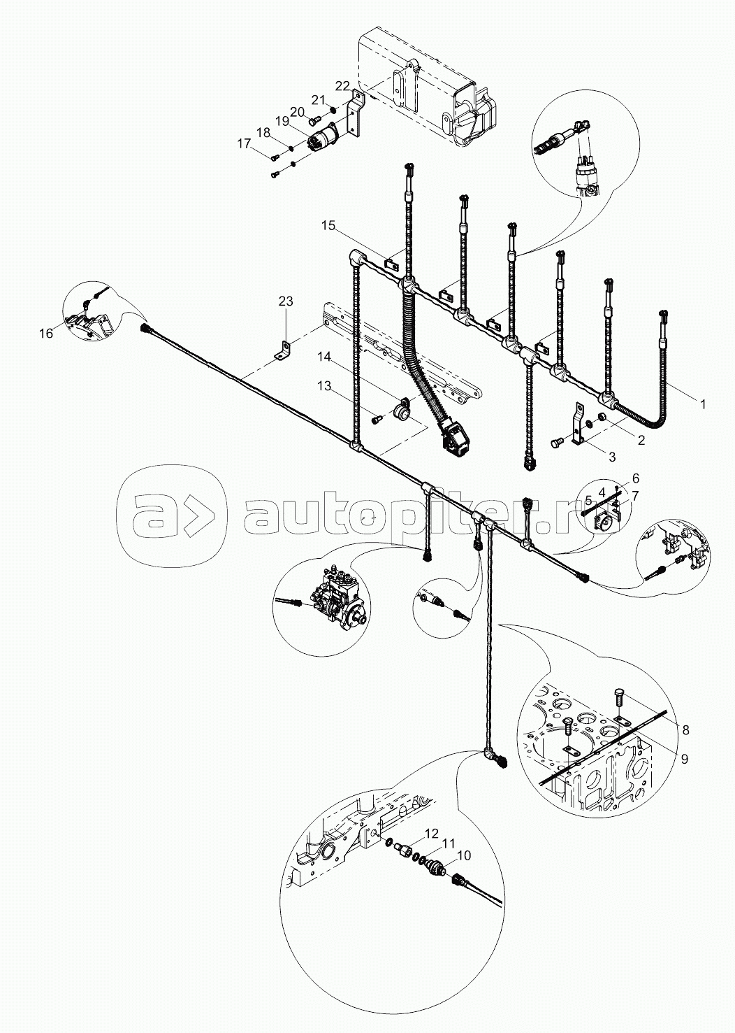 Electronic Control System Harness and Sensor Group