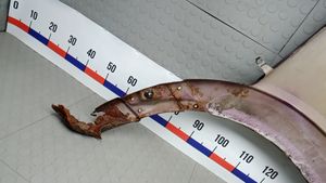 Б/у  2E0821305 Крыло переднее левое Volkswagen Crafter 1 (2006-2016) 2010 Микроавтобус 6МКПП bu6ap14651323 Б/У запчасти