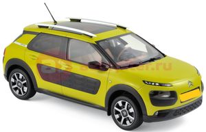 C4 Cactus